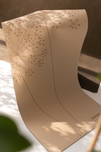 DSC2307-2.jpeg